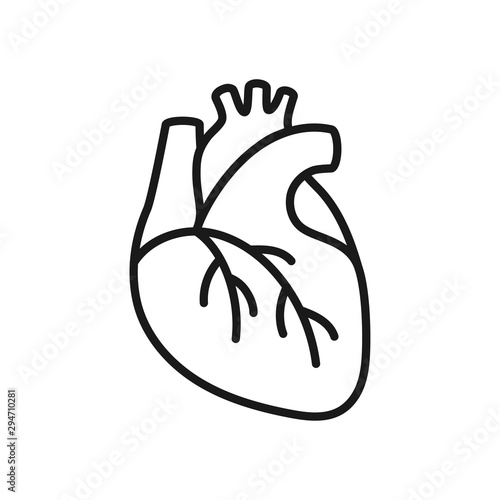 Icon of human heart in outline style isolated over white background. Vector illustration