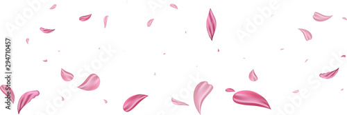 Pink falling petals rose. Nice flower pastel texture background.