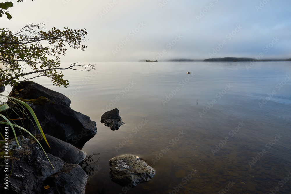 Foggy autumn morning