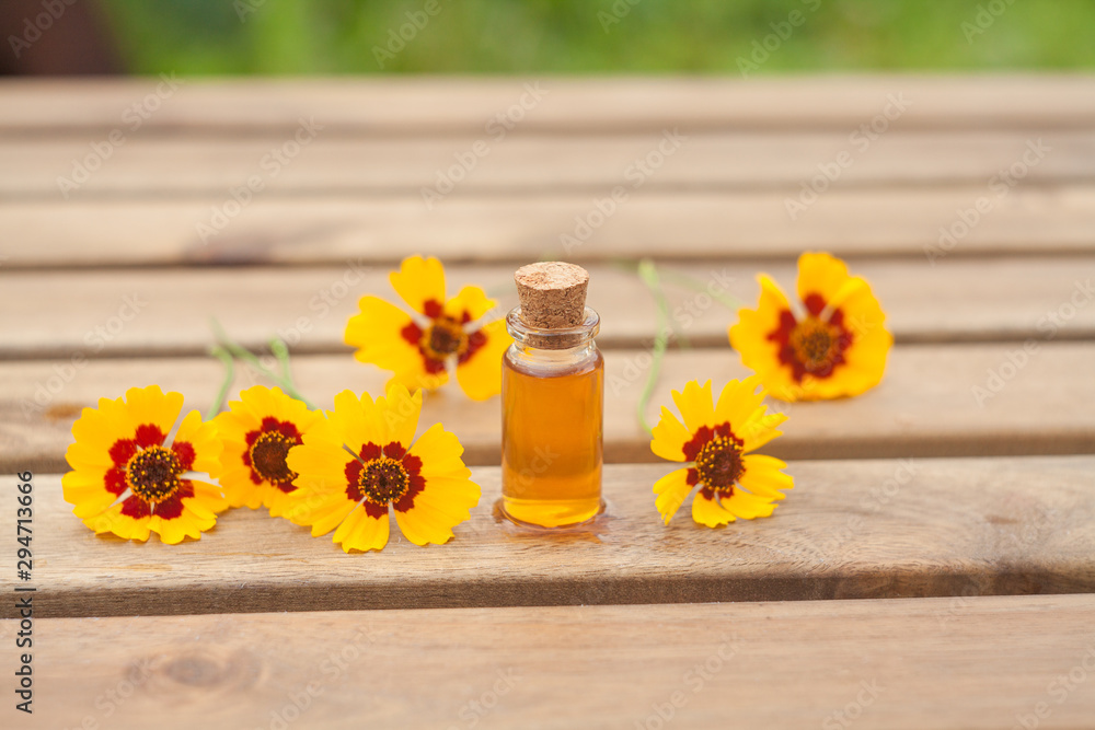 coreopsis essential oil in beautiful bottle on table coreopsis essential oil in beautiful bottle on table