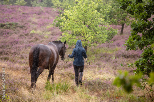 Frau spaziert mit Pferd im Regen durch die Heide