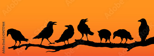 Rabenvögel am Ast, Raben Gruppe Silhouette im Sonnenuntergang, Vektor Illustration isoliert auf weißem Hintergrund