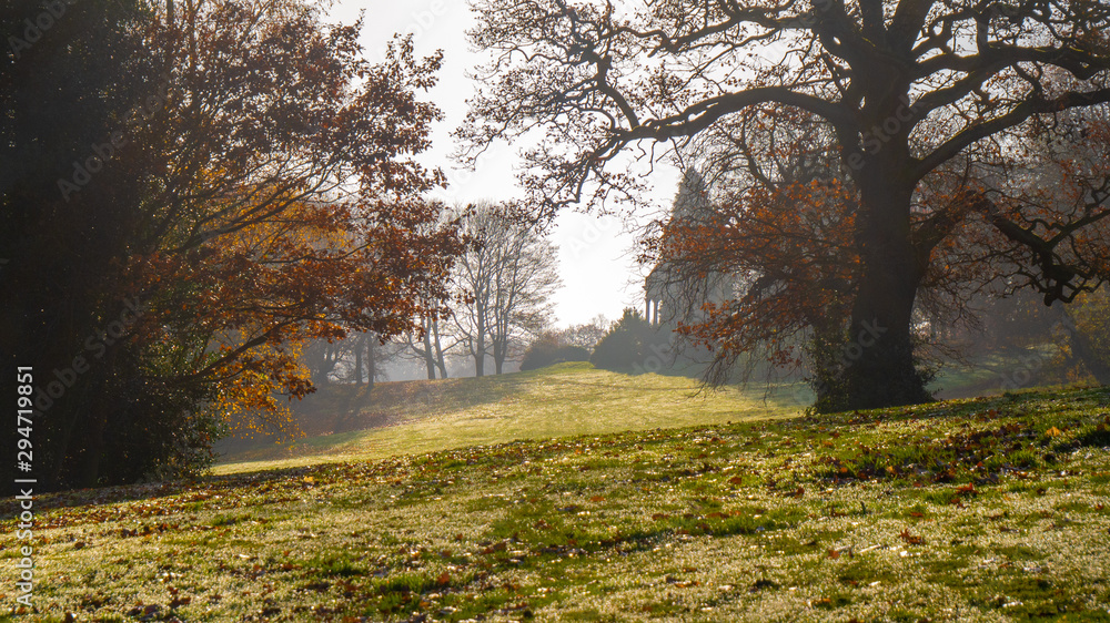 Naklejka premium Autumn in Roundhay Park
