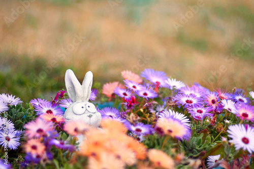 garden toy in flowers. multi-colored daisies. white hare hidin. ggreeting card with a hare in flowers. copy space  photo