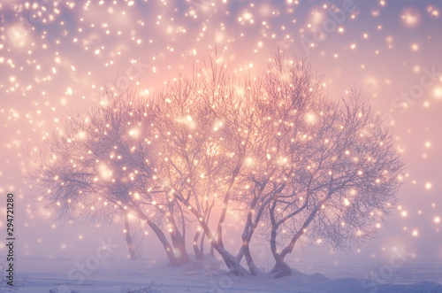 Magic fairy Christmas evening