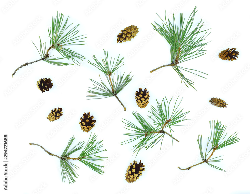 Obraz premium Pine branches and cones on a white background. Christmas or New Year concept.