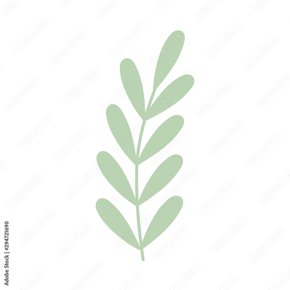 white background with branch leaves foliage