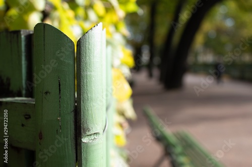 fence in garden