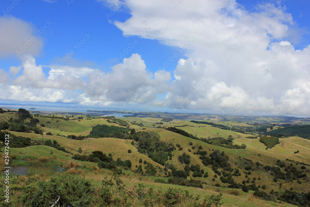 landscape on new zealands north island