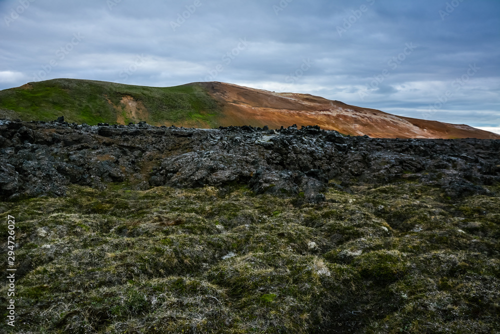Leirhnjukur lava field covered with moss, overcast day in summer , film effect with grain