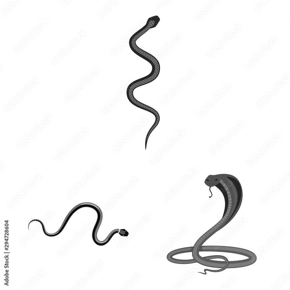 Isolated object of harm and bite sign. Collection of harm and reptile stock vector illustration. Isolated object of harm and bite sign. Collection of harm and reptile stock vector illustration.
