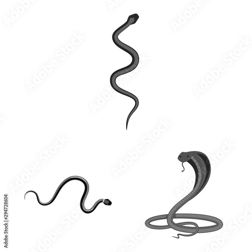 Isolated object of harm and bite sign. Collection of harm and reptile stock vector illustration.