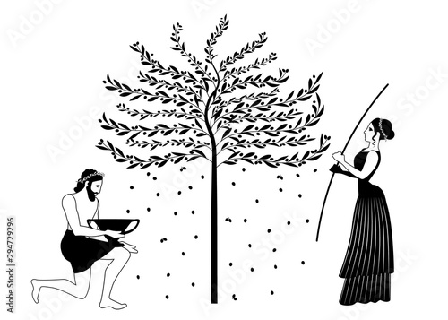 Woman raking an olive tree and man picking olives. Ancient Greece style photo