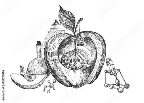 Modified unhealthy apple with GMO