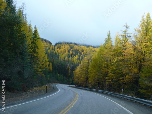 Sunday Drive through light and shadow Mountain Forest be with you Autumn Splendor of Gold, Green, yellow. mist in fir, pines, tamarack trees. Guard rail between the traces. double line, notch