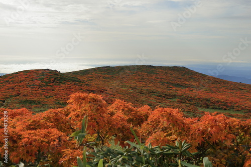 紅葉の栗駒山 ( Beautiful autumnscape at Mount Kurikoma, Tohoku, Japan ) photo