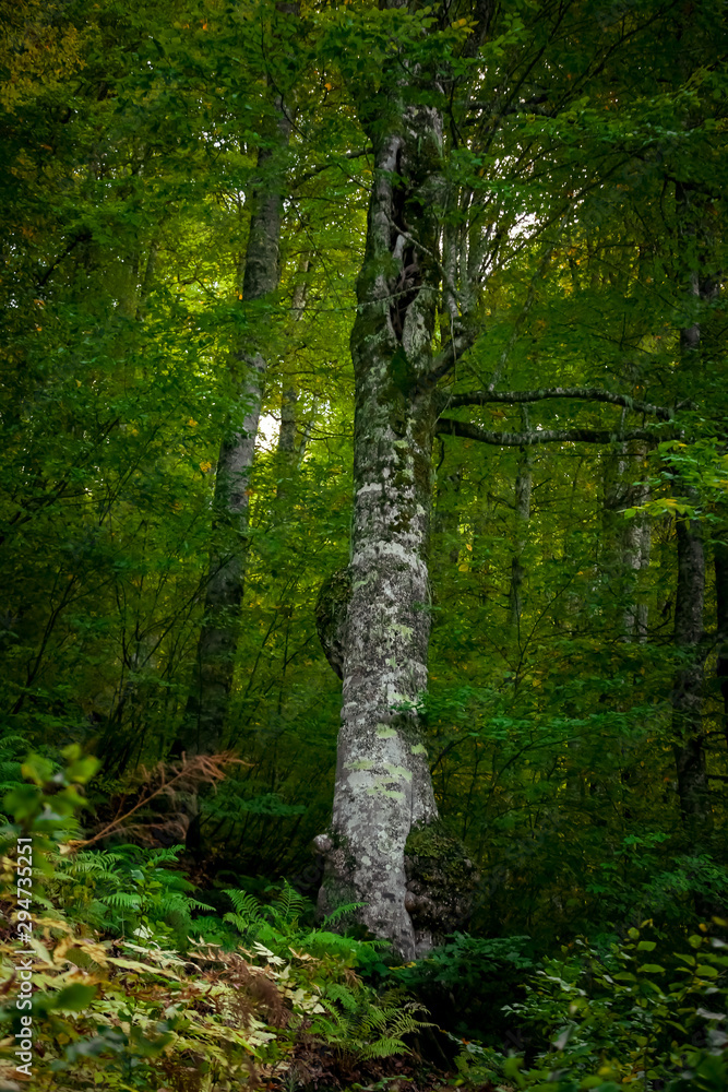 Obraz premium autumn sky with clouds, landscape of mountains and waterfall