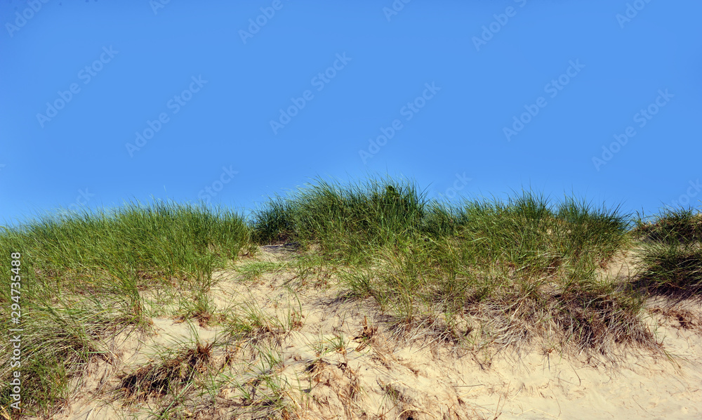 Top of Sand Dune on Lake Michigan Top of Sand Dune on Lake Michigan