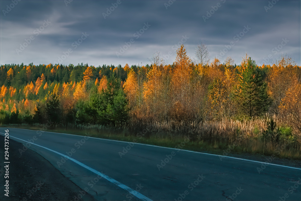 Fototapeta premium Colorful image of beautiful golden autumn landscape with different color trees, blue skies and road.