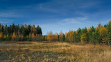Colorful image of beautiful golden autumn landscape with different color trees, and blue skies.