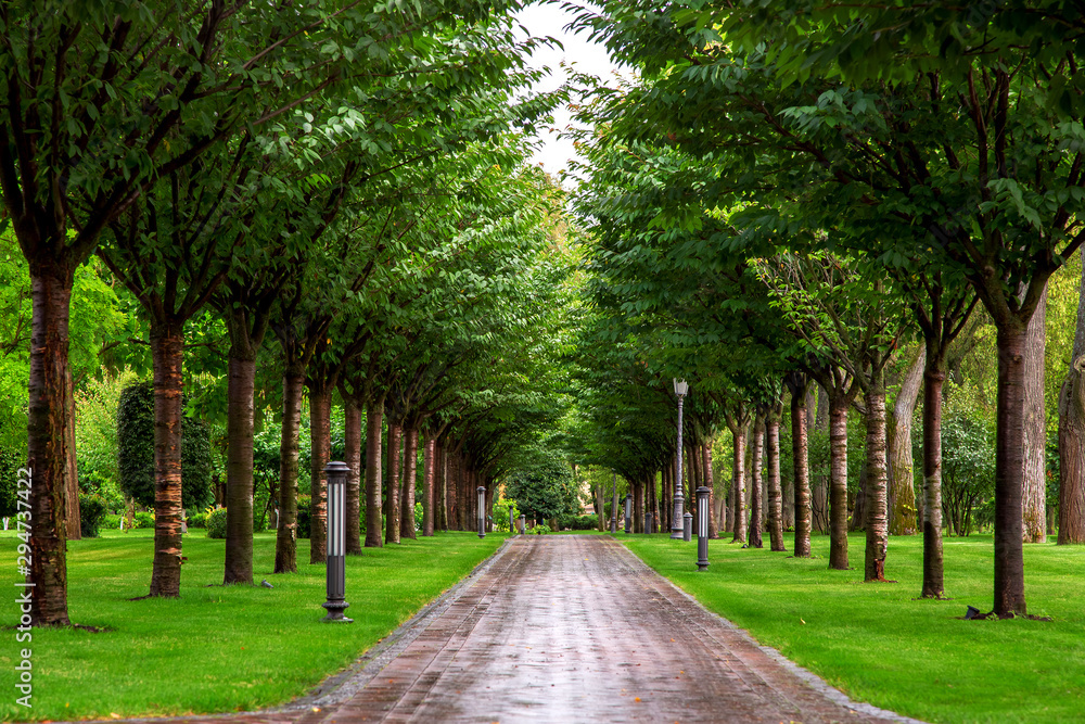 tiles footpath, leaving in perspective into the park, ground lights and trees plants in a row along the walkway after rain. tiles footpath, leaving in perspective into the park, ground lights and trees plants in a row along the walkway after rain.