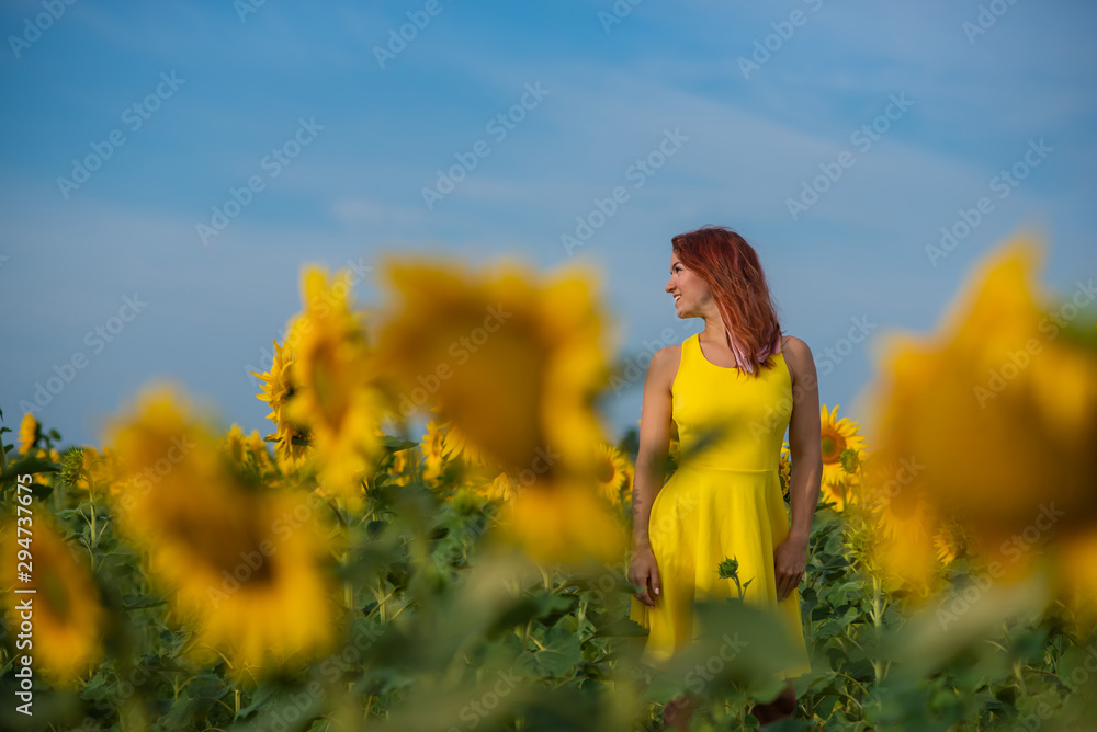 A red-haired woman in a yellow dress is standing in a field of sunflowers. Beautiful girl in a skirt sun enjoys a cloudless day in the countryside. Pink locks of hair. A red-haired woman in a yellow dress is standing in a field of sunflowers. Beautiful girl in a skirt sun enjoys a cloudless day in the countryside. Pink locks of hair.