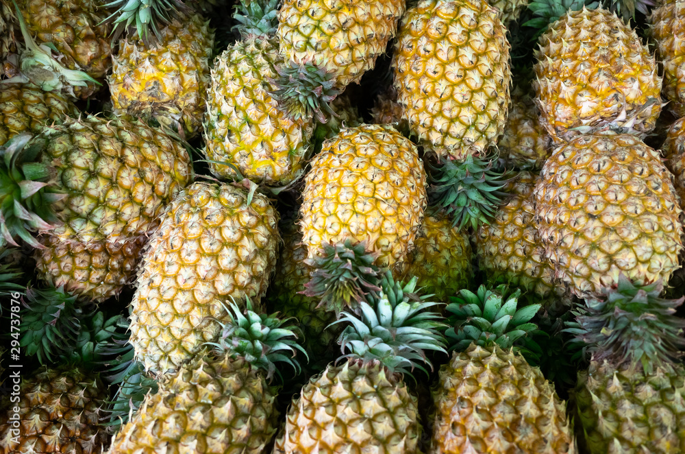 group of pineapple fruit group of pineapple fruit