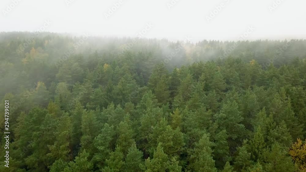 Autumn forest aerial top view. Foggy morning, low clouds of fog above the trees. Misty weather, green conifers, deciduous trees with yellow leaves. Fall colors countryside woodland, hilly area Autumn forest aerial top view. Foggy morning, low clouds of fog above the trees. Misty weather, green conifers, deciduous trees with yellow leaves. Fall colors countryside woodland, hilly area