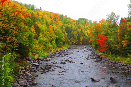 automne au Canada