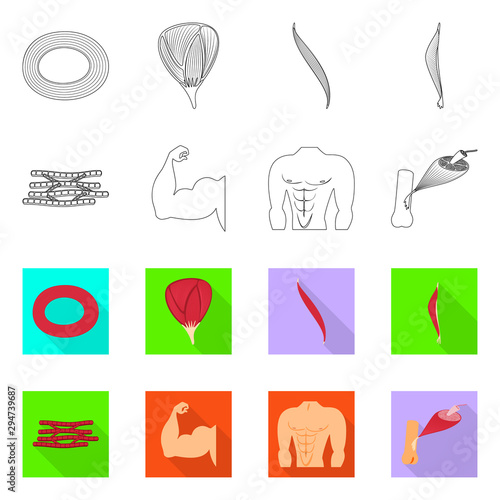 Isolated object of fiber and muscular symbol. Set of fiber and body vector icon for stock.