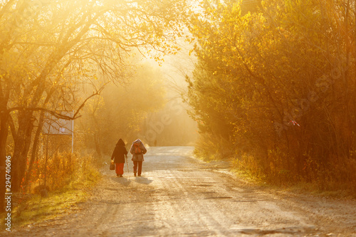 Fototapeta Naklejka Na Ścianę i Meble -  Beautiful view. Two travelers walk along a forest road surrounded by a forest during golden sunset