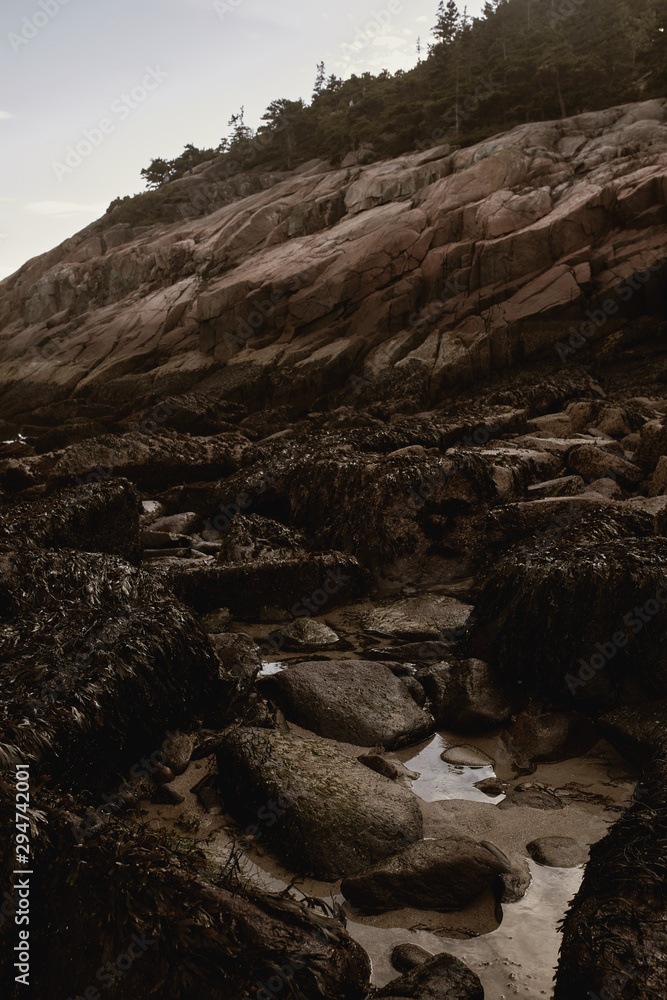 Fototapeta premium Sunset over rugged coastline of Sand Beach on a cool Fall evening in Acadia National Park on Mount Desert Island, Maine.
