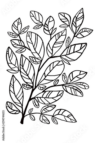 Branch with leaves black line drawing
