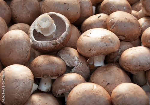 Schilderij op canvas Portobello mushrooms Agaricus bisporus in display for sale