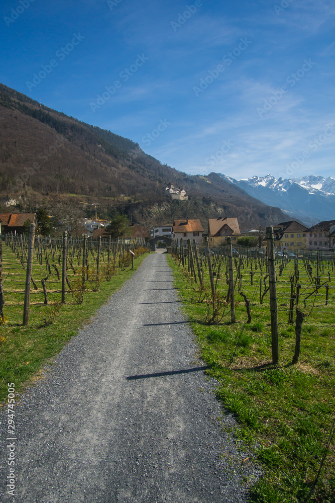 The beautiful vineyards outside of the  Cellars of the Prince of Liechtenstein Winery in Liechtenstein.