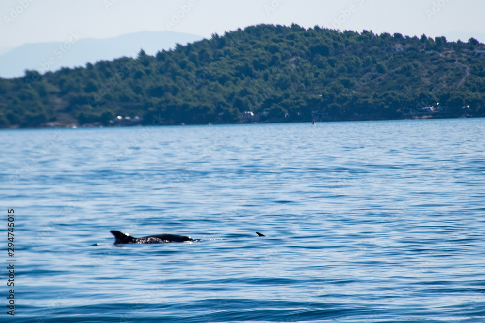 Obraz premium Kornati national parl, Croatia