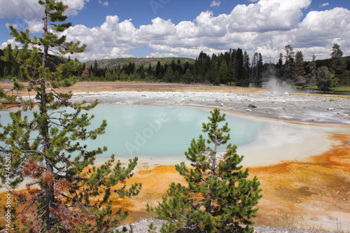 Hot Spring, Yellowstone National Park, Wyomimg, USA photo