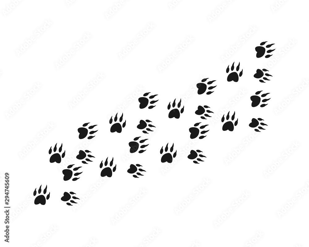 Animal footprint background template vector