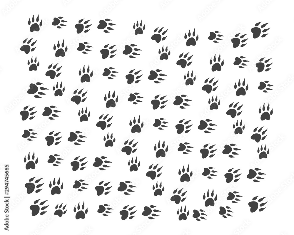 Animal footprint background template vector Animal footprint background template vector