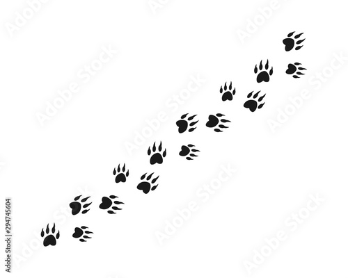 Animal footprint background template vector