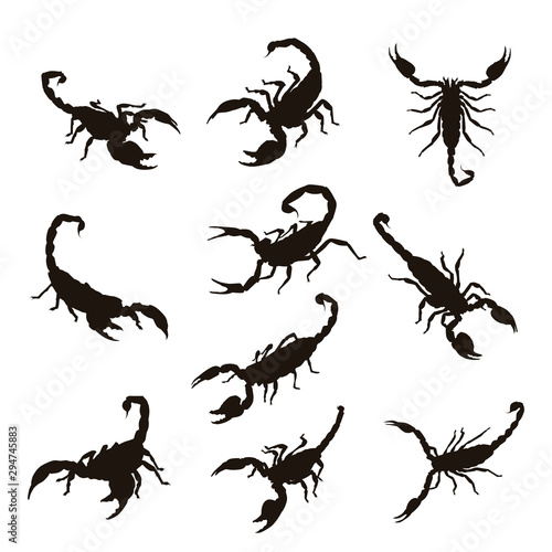 Scorpion Silhouettes © adidesigner23