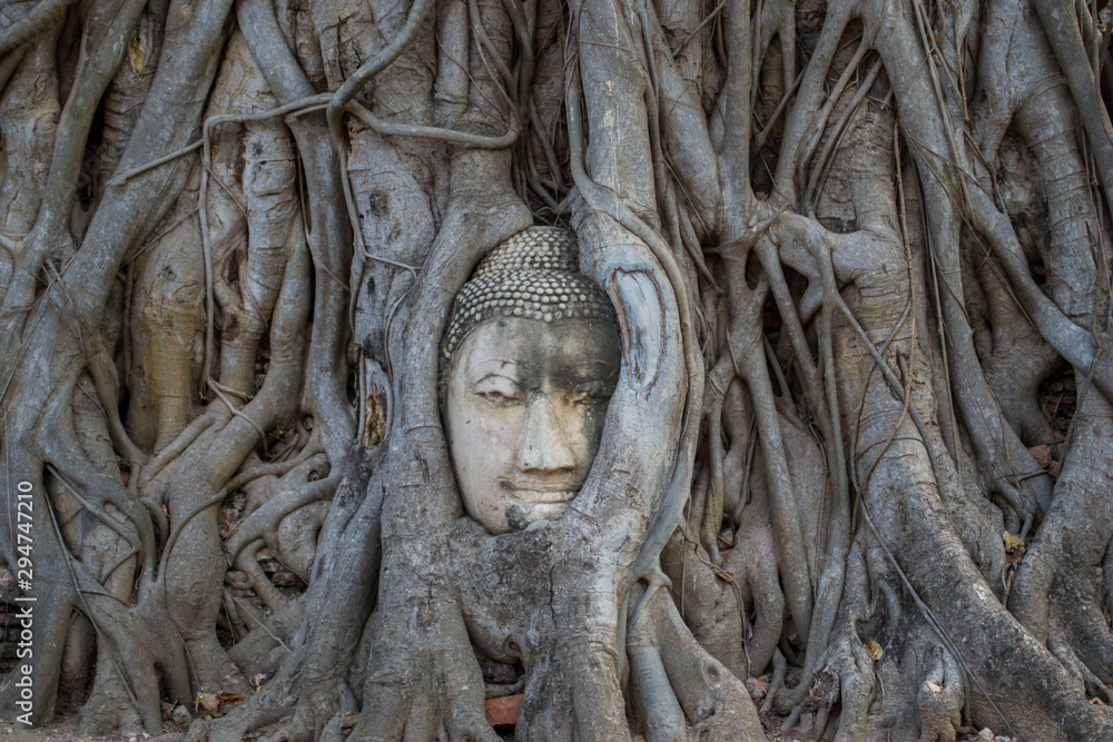 Wat Maha That. The famous Buddha face in the tree. Temple in Ayutthaya, central Thailand. 