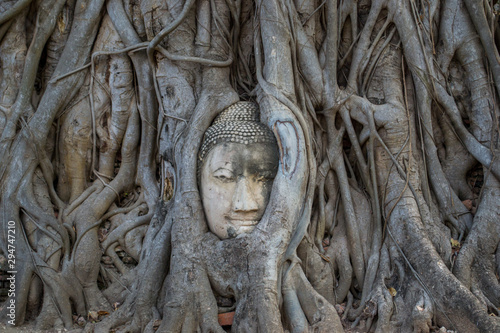 Wat Maha That. The famous Buddha face in the tree. Temple in Ayutthaya, central Thailand.  © Daiana