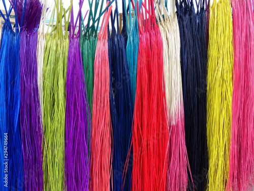 Paja Toquilla straw - the material which use to make the Panama hats. Leaves of plant are separated and divided into thin fibers, boiled, dried, painted and ready to start knitting.