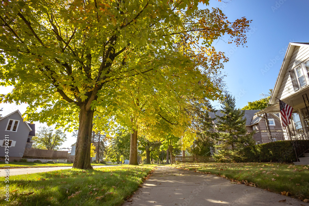 Autumn park natural landscape. Golden leaves foliage on trees in front of road in village at late Autumn