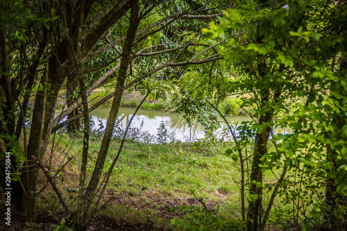 lago na natureza