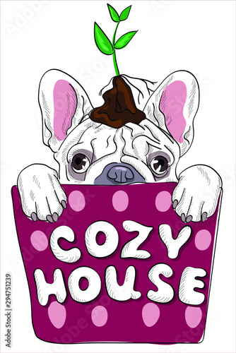 Cute puppy sits in a flower pot. Cozy house - lettering quote.  Card, t-shirt composition, hand drawn style print. Vector illustration