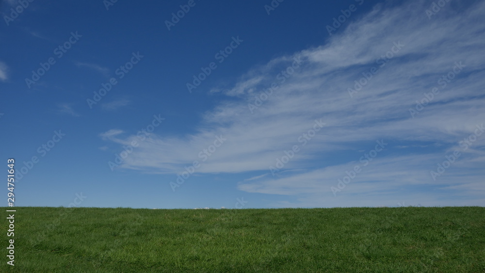 Fototapeta premium 草原と雲