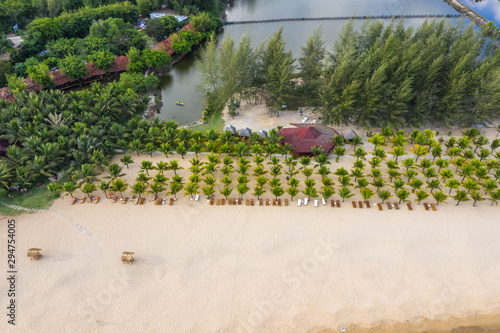 Aerial landscape of palm trees and deckchairs on the beach photo