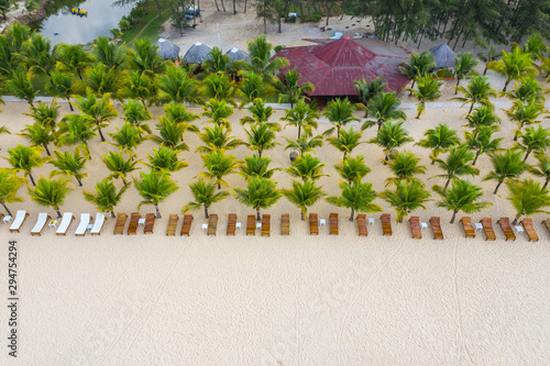 Aerial view of beautiful palm tree plantation on tropical beach photo